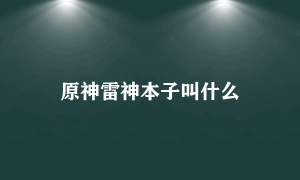 原神雷神本子叫什么