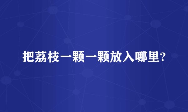 把荔枝一颗一颗放入哪里?