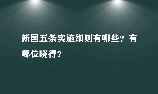 新国五条实施细则有哪些？有哪位晓得？