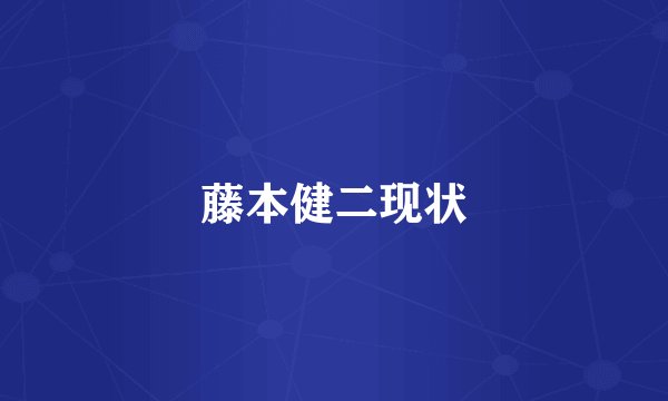 藤本健二现状