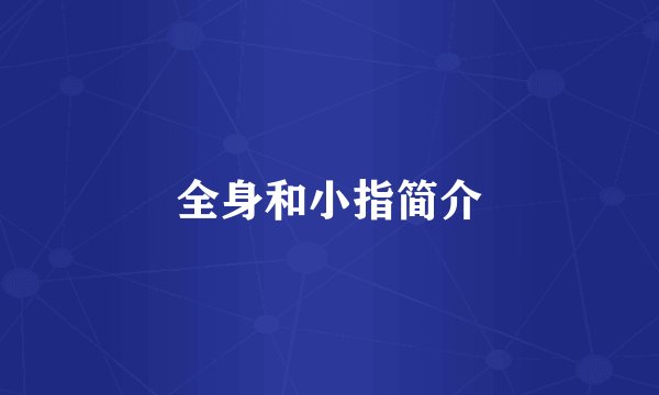 全身和小指简介