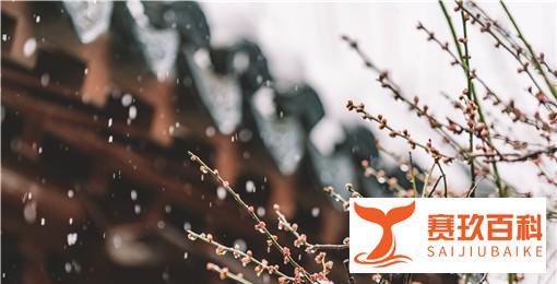 立春后下雪民间的说法：具体有什么说法？有什么寓意？