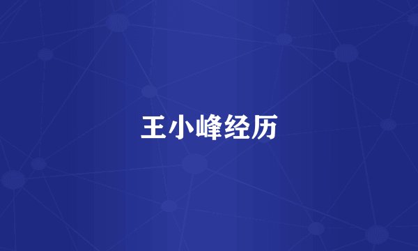 王小峰经历