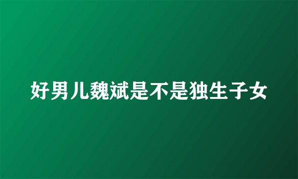 好男儿魏斌是不是独生子女