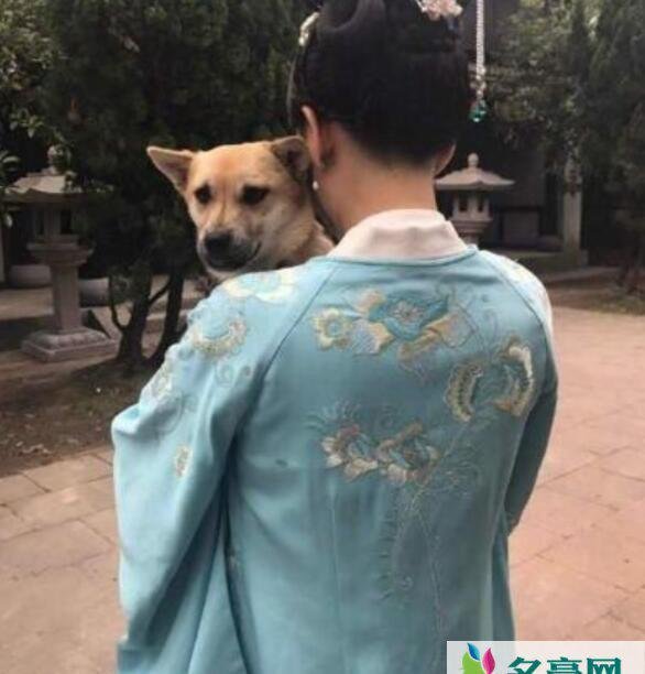 陈乔恩为爱狗庆生 陈乔恩的怀抱爱狗尽显宠溺
