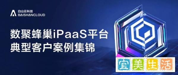 数聚蜂巢iPaaS 2024实践案例之“航空业”