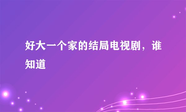 好大一个家的结局电视剧，谁知道