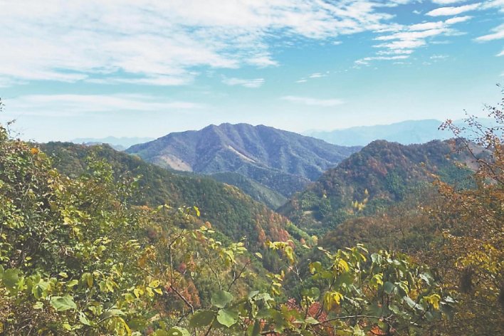 这山望着那山高是什么意思成语