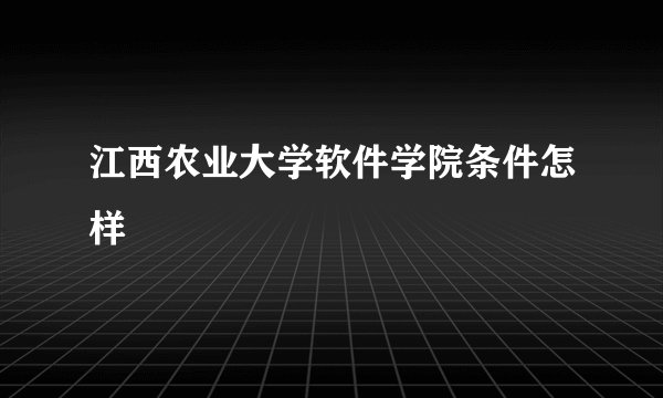 江西农业大学软件学院条件怎样