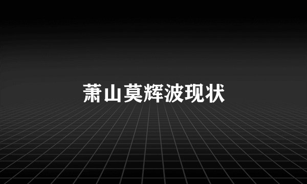 萧山莫辉波现状
