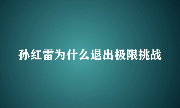 孙红雷为什么退出极限挑战