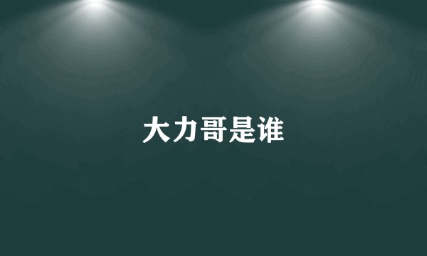 大力哥是谁