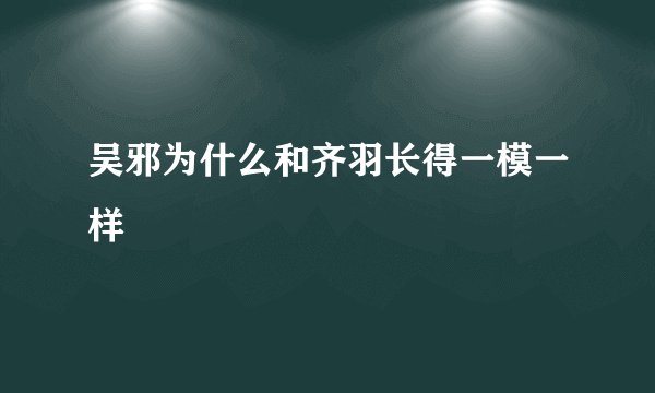 吴邪为什么和齐羽长得一模一样