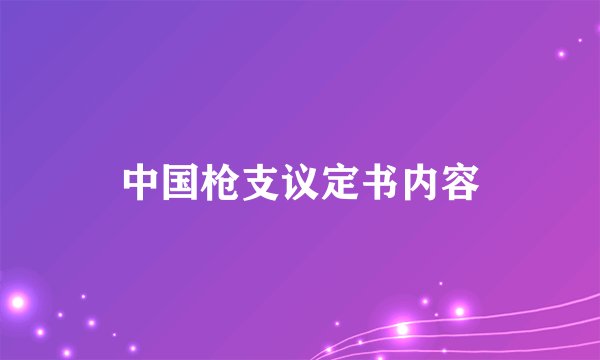 中国枪支议定书内容