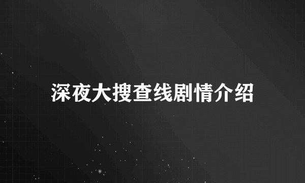 深夜大搜查线剧情介绍