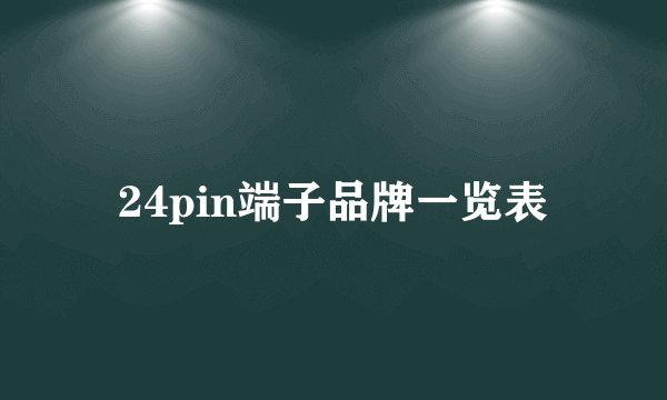 24pin端子品牌一览表