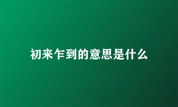 初来乍到的意思是什么