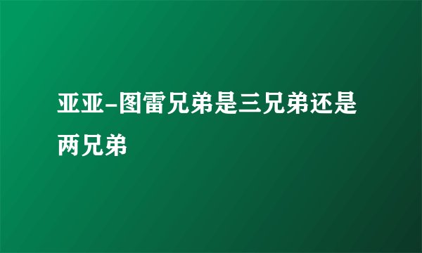 亚亚-图雷兄弟是三兄弟还是两兄弟