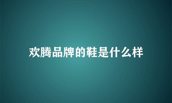 欢腾品牌的鞋是什么样