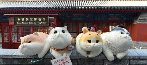 故宫现巨型御猫，吸引众多游客驻足撸猫合影