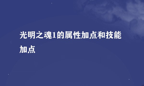 光明之魂1的属性加点和技能加点