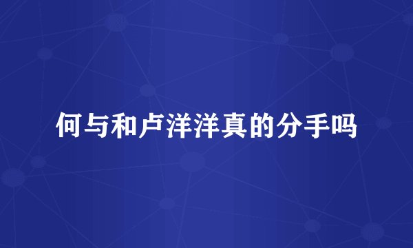 何与和卢洋洋真的分手吗