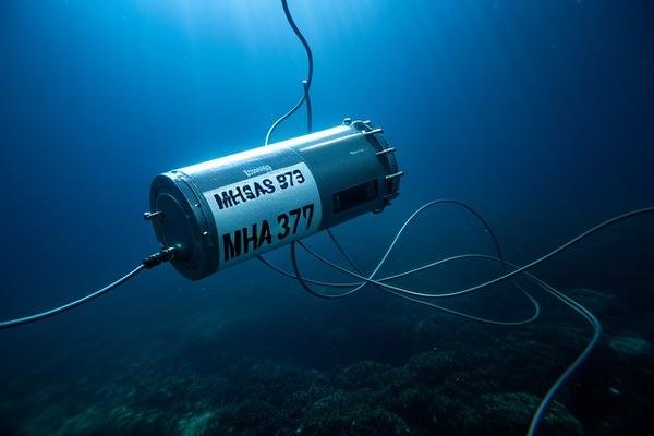 马航mh370黑匣子找到了吗