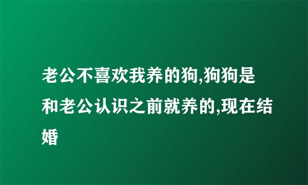 老公不喜欢我养的狗,狗狗是和老公认识之前就养的,现在结婚