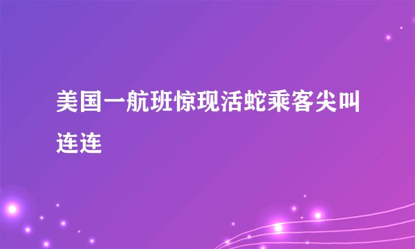 美国一航班惊现活蛇乘客尖叫连连