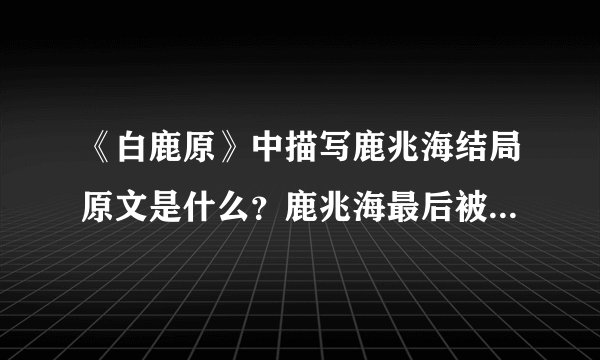 《白鹿原》中描写鹿兆海结局原文是什么？鹿兆海最后被谁杀死？_...