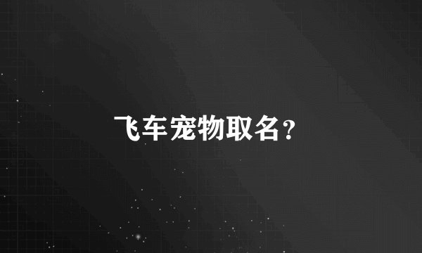 飞车宠物取名？
