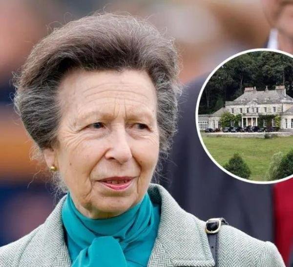 英王室又出事！凯特刚带三娃露面，安妮公主坠马导致脑震荡失忆