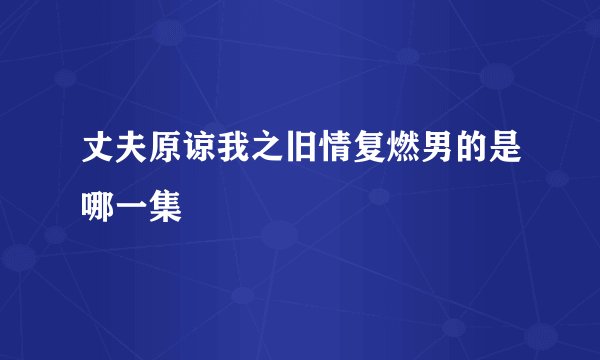 丈夫原谅我之旧情复燃男的是哪一集