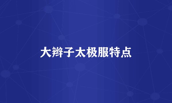 大辫子太极服特点