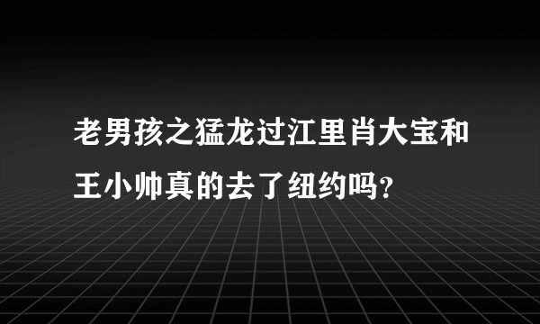 老男孩之猛龙过江里肖大宝和王小帅真的去了纽约吗？