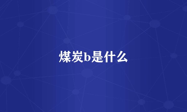 煤炭b是什么
