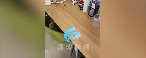 网友晒“全网最简单”录取通知书 这是咋情况？