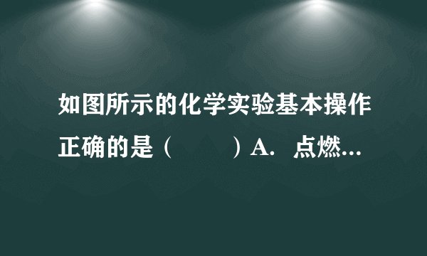 如图所示的化学实验基本操作正确的是（　　）A．点燃酒精灯B．称量NaClC．向试管中滴加液体D．取用液体药