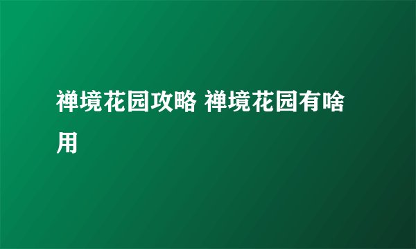 禅境花园攻略 禅境花园有啥用
