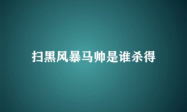 扫黑风暴马帅是谁杀得