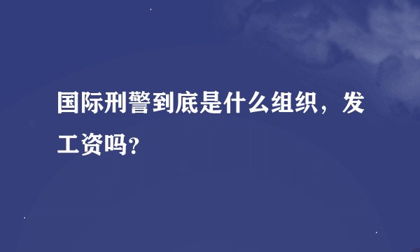 国际刑警到底是什么组织，发工资吗？