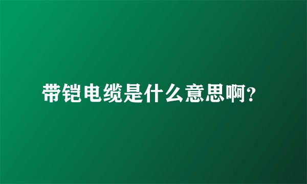 带铠电缆是什么意思啊？