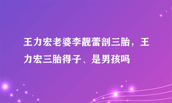王力宏老婆李靓蕾剖三胎，王力宏三胎得子、是男孩吗