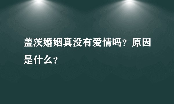 盖茨婚姻真没有爱情吗？原因是什么？