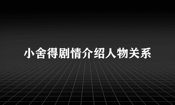小舍得剧情介绍人物关系