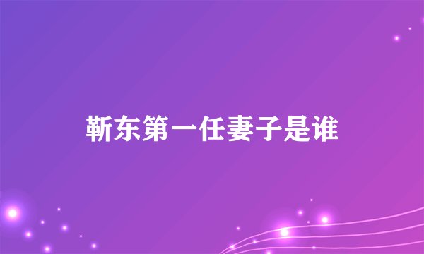 靳东第一任妻子是谁