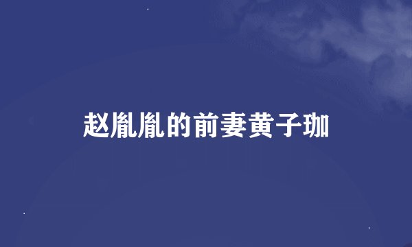 赵胤胤的前妻黄子珈