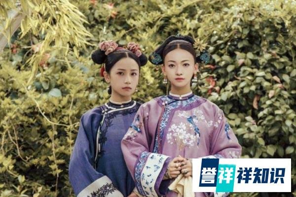 《如懿传》、《延禧攻略》惨遭下架，网友：求求放过甄嬛传
