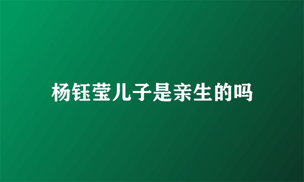 杨钰莹儿子是亲生的吗
