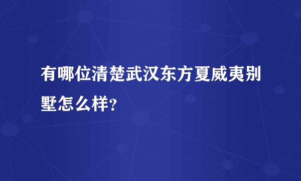 有哪位清楚武汉东方夏威夷别墅怎么样？
